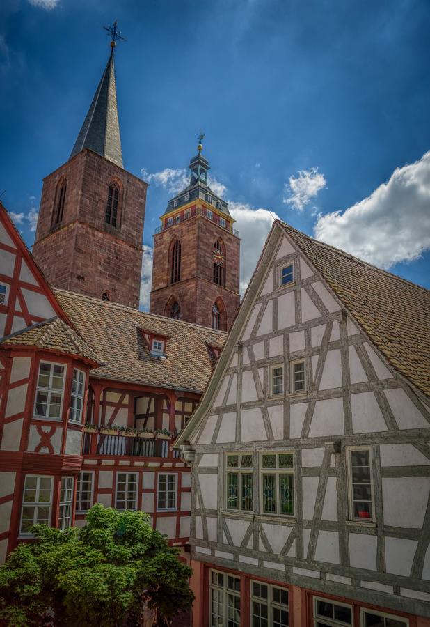 Steinhaeuser Hof Neustadt an der Weinstraße Eksteriør billede