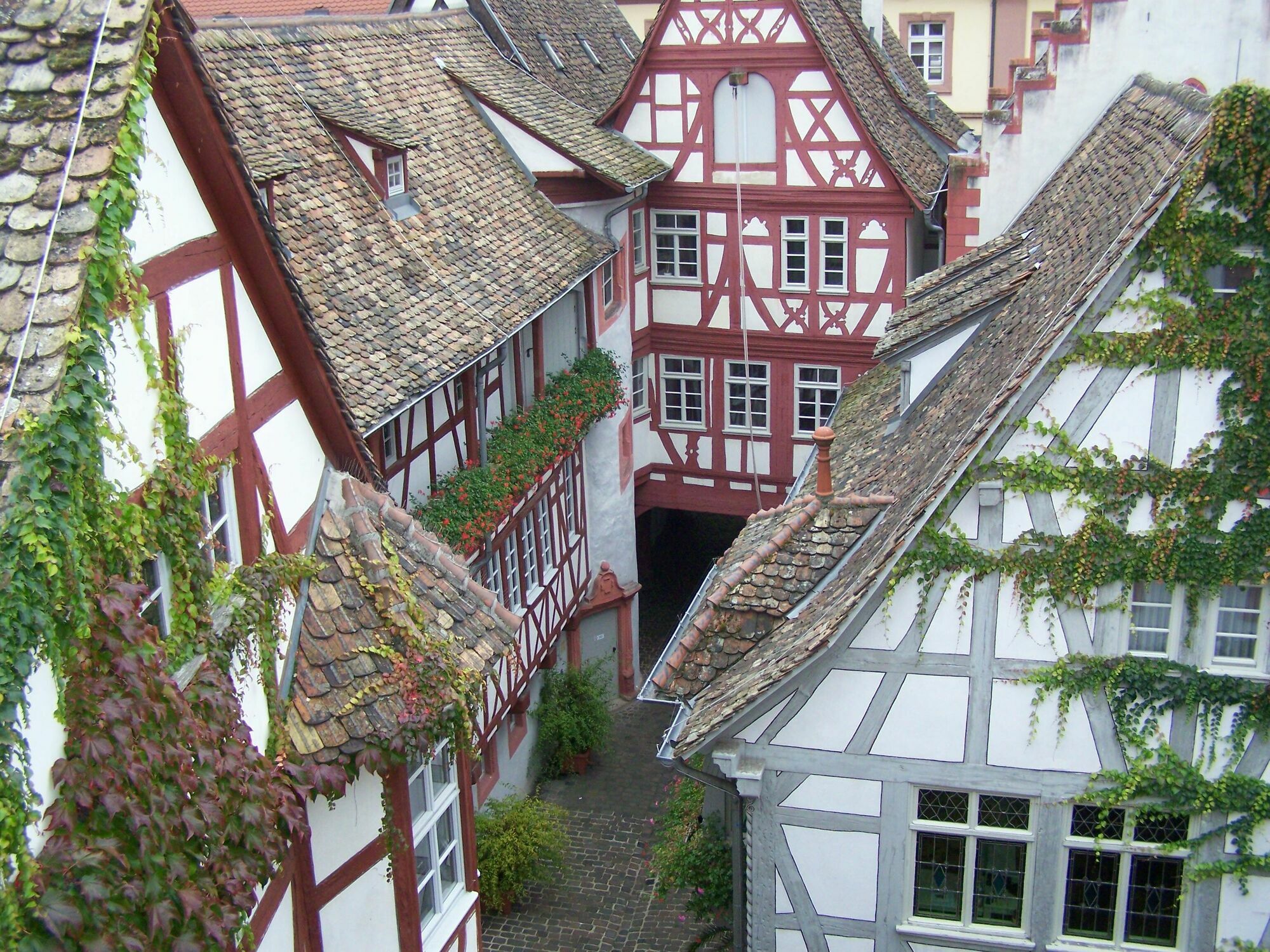 Steinhaeuser Hof Neustadt an der Weinstraße Eksteriør billede